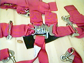 nascarbelt.jpeg